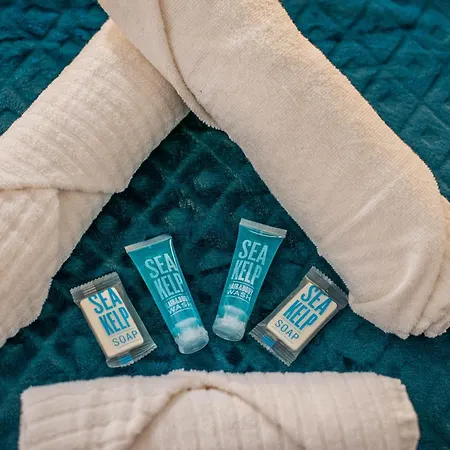 Le Petit Velpeau - Proche Gare - Netflix Διαμέρισμα *