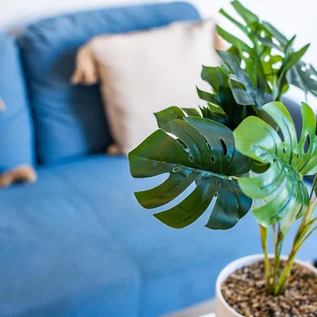 Le Petit Velpeau - Proche Gare - Netflix Διαμέρισμα