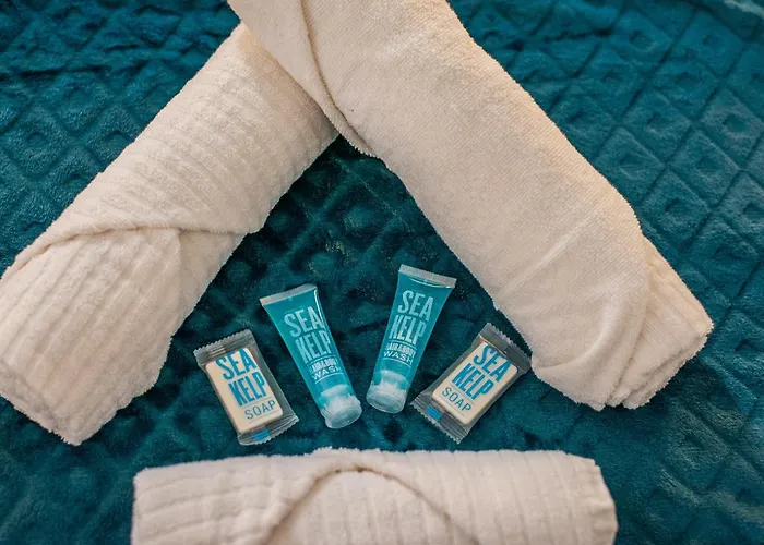 Le Petit Velpeau - Proche Gare - Netflix شقة *