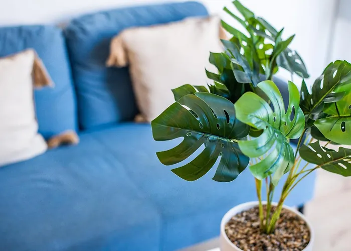 Le Petit Velpeau - Proche Gare - Netflix شقة